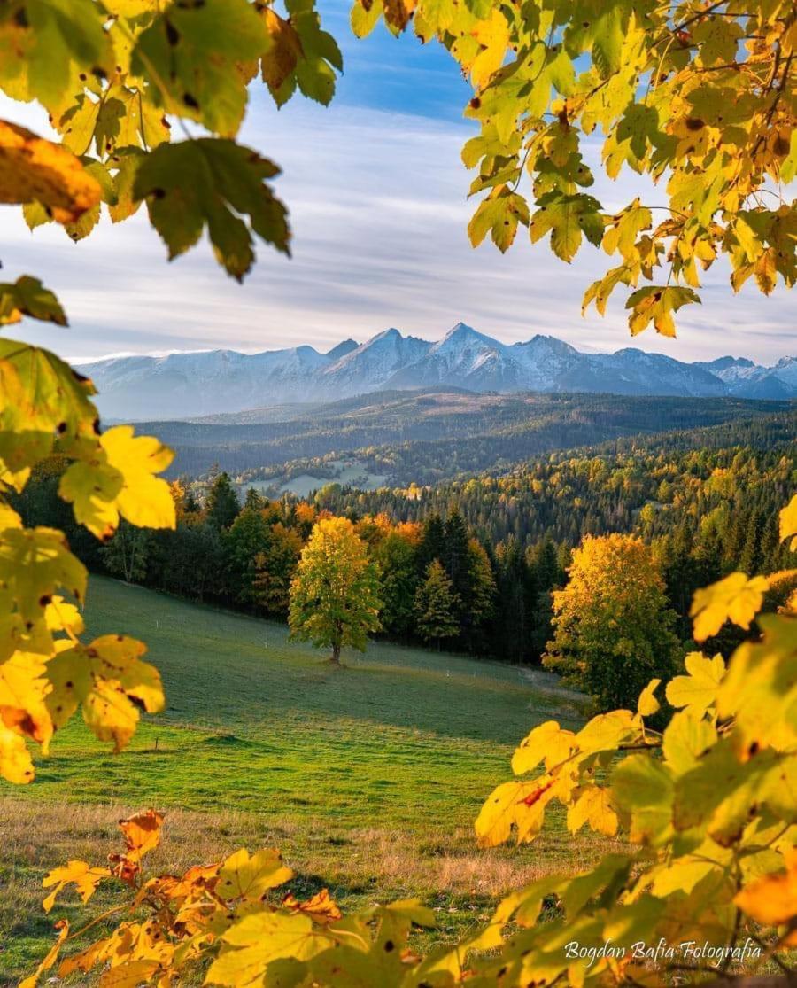 Viva Maria Apartamenty Zakopane Exterior foto